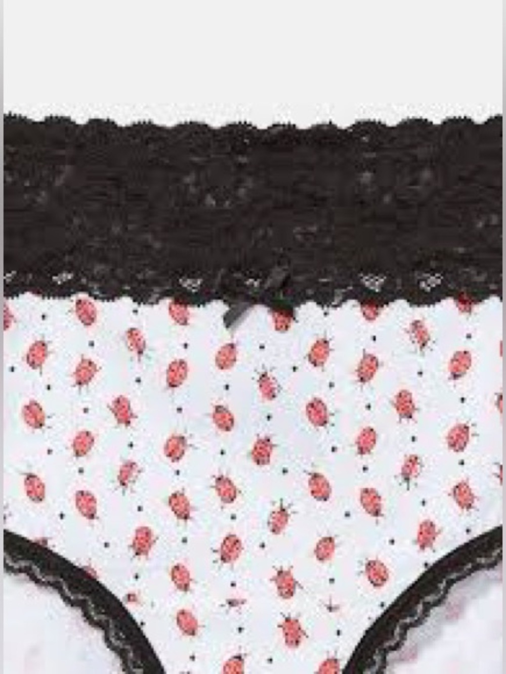 Torrid Size 4 Plus Size 4X NWT Bundle 3 Pairs Hipster-Cheeky Panties Lace